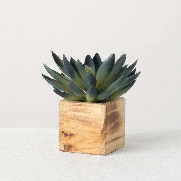 Wooden Potted Succulent